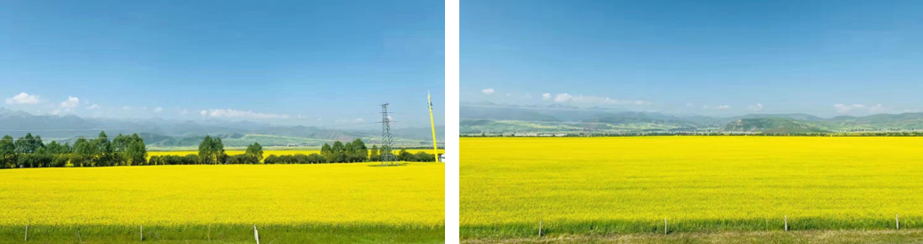 1628242550247192.png 微信截图_20210806172946.png